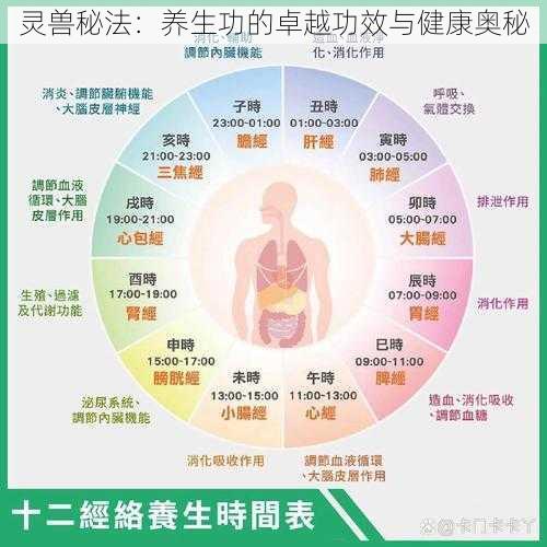 灵兽秘法：养生功的卓越功效与健康奥秘