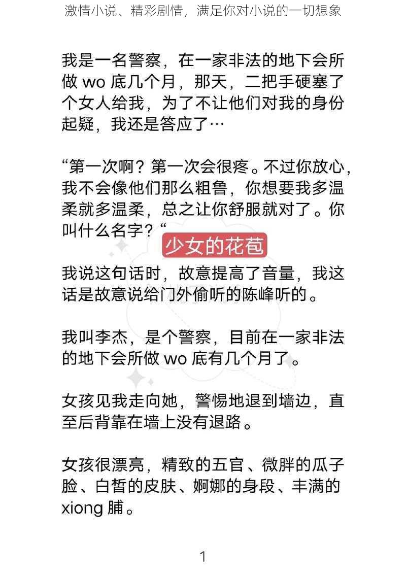 激情小说、精彩剧情，满足你对小说的一切想象