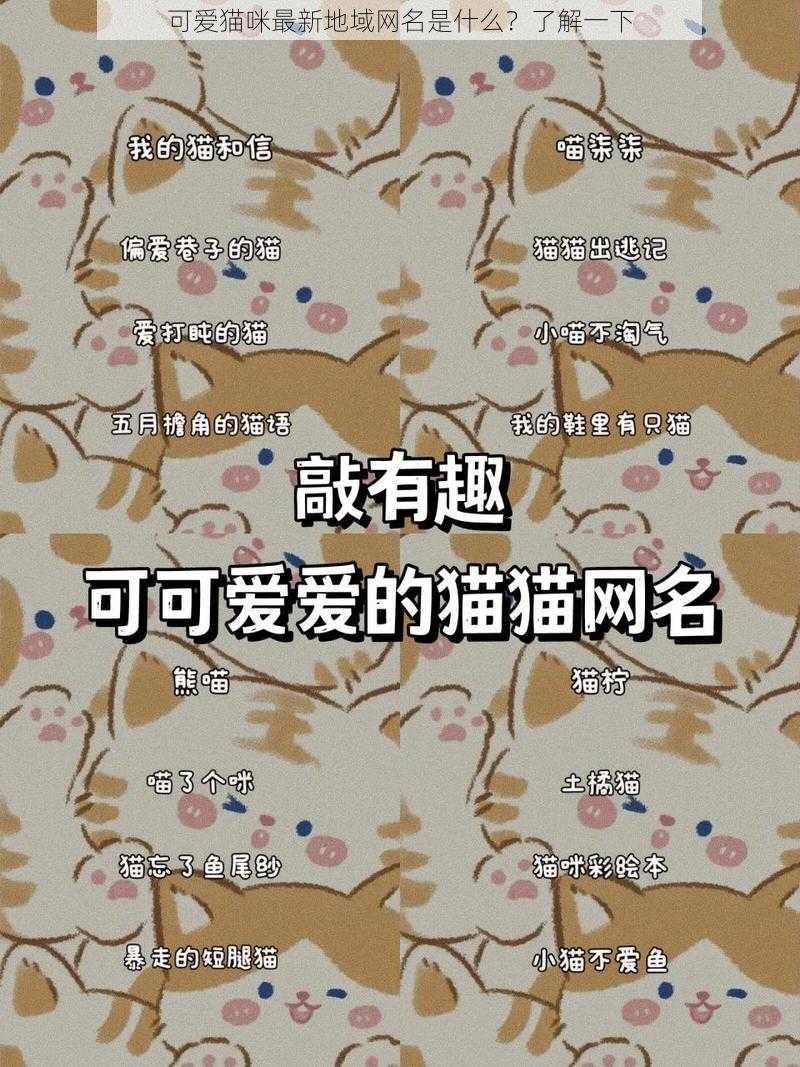 可爱猫咪最新地域网名是什么？了解一下