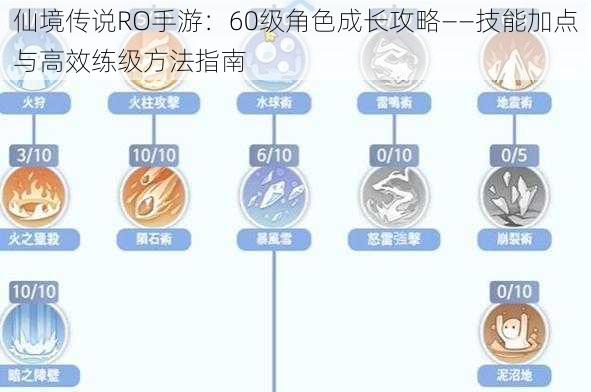 仙境传说RO手游：60级角色成长攻略——技能加点与高效练级方法指南