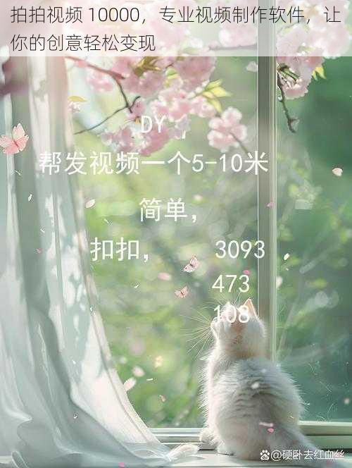 拍拍视频 10000，专业视频制作软件，让你的创意轻松变现