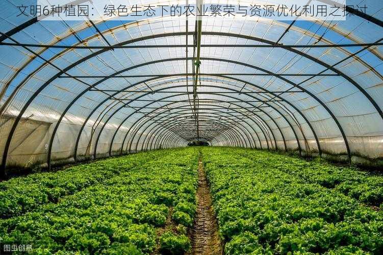 文明6种植园：绿色生态下的农业繁荣与资源优化利用之探讨