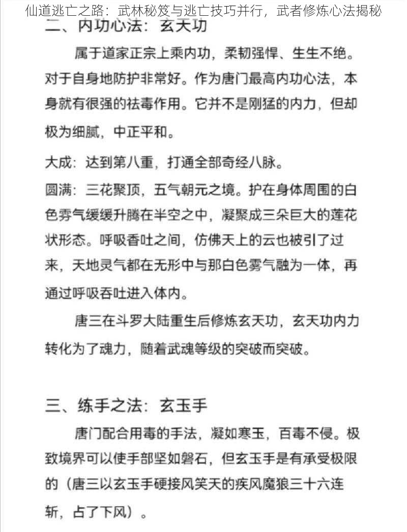 仙道逃亡之路：武林秘笈与逃亡技巧并行，武者修炼心法揭秘