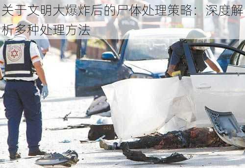 关于文明大爆炸后的尸体处理策略：深度解析多种处理方法