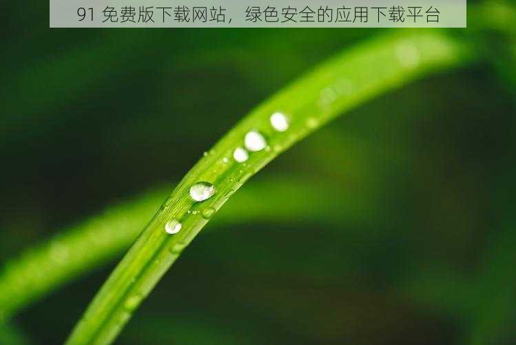 91 免费版下载网站，绿色安全的应用下载平台