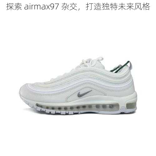 探索 airmax97 杂交，打造独特未来风格