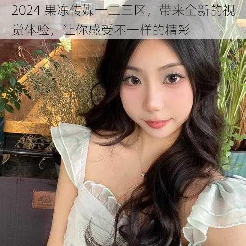 2024 果冻传媒一二三区，带来全新的视觉体验，让你感受不一样的精彩