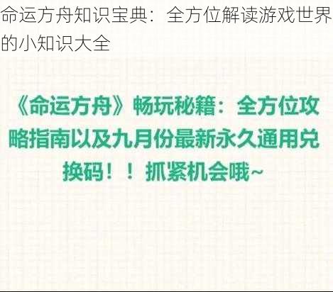 命运方舟知识宝典：全方位解读游戏世界的小知识大全