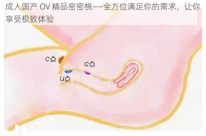 成人国产 OV 精品密密桃——全方位满足你的需求，让你享受极致体验