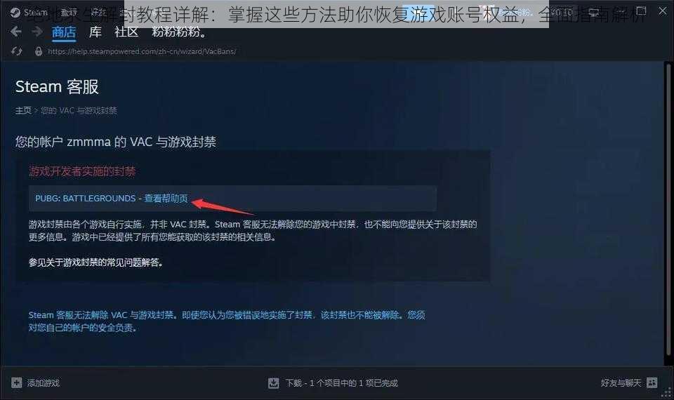绝地求生解封教程详解：掌握这些方法助你恢复游戏账号权益，全面指南解析