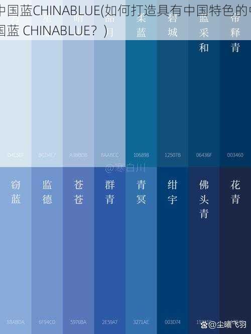 中国蓝CHINABLUE(如何打造具有中国特色的中国蓝 CHINABLUE？)