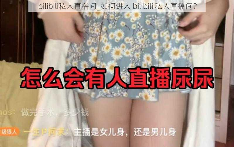 bilibili私人直播间_如何进入 bilibili 私人直播间？