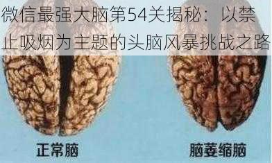 微信最强大脑第54关揭秘：以禁止吸烟为主题的头脑风暴挑战之路