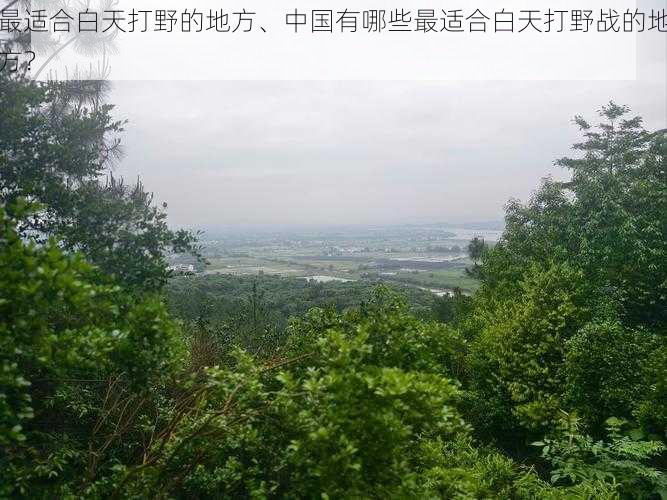 最适合白天打野的地方、中国有哪些最适合白天打野战的地方？