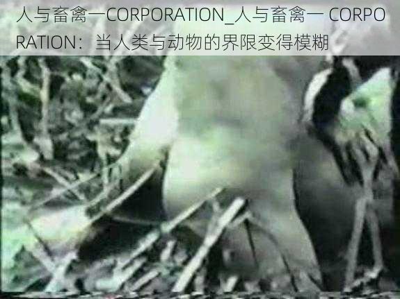 人与畜禽一CORPORATION_人与畜禽一 CORPORATION：当人类与动物的界限变得模糊