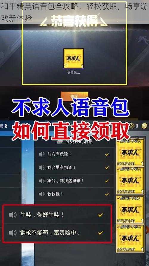 和平精英语音包全攻略：轻松获取，畅享游戏新体验