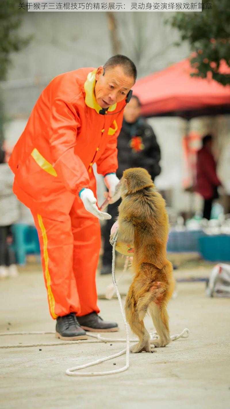 关于猴子三连棍技巧的精彩展示：灵动身姿演绎猴戏新篇章