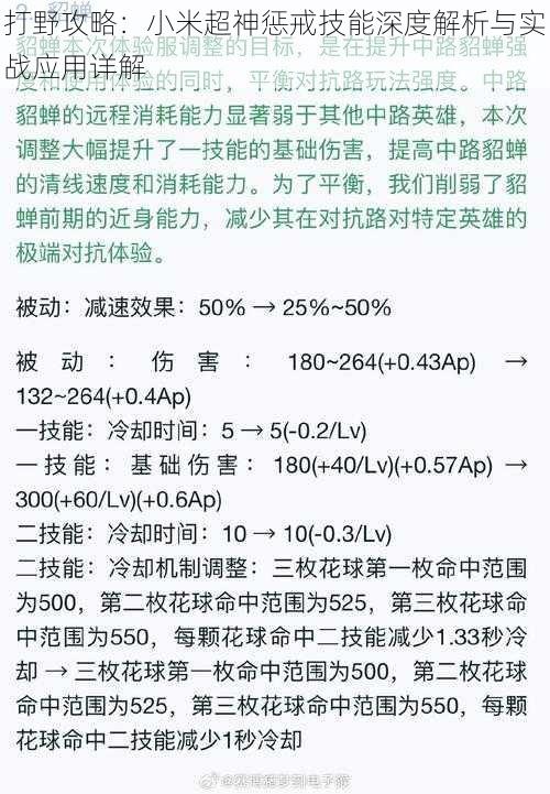 打野攻略：小米超神惩戒技能深度解析与实战应用详解