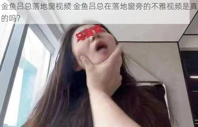 金鱼吕总落地窗视频 金鱼吕总在落地窗旁的不雅视频是真的吗？