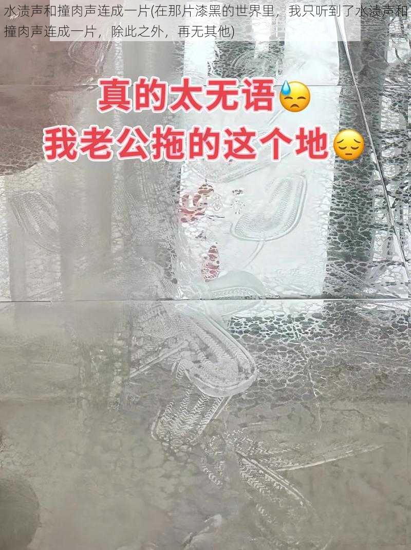 水渍声和撞肉声连成一片(在那片漆黑的世界里，我只听到了水渍声和撞肉声连成一片，除此之外，再无其他)