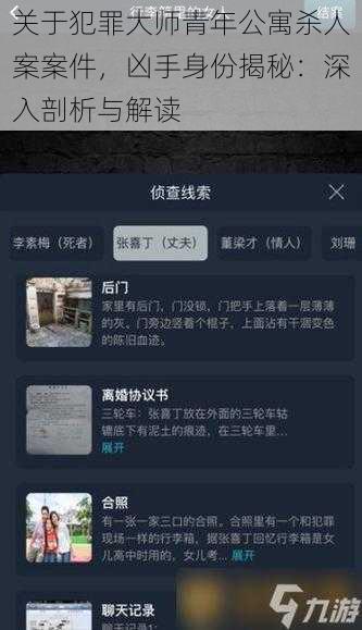 关于犯罪大师青年公寓杀人案案件，凶手身份揭秘：深入剖析与解读