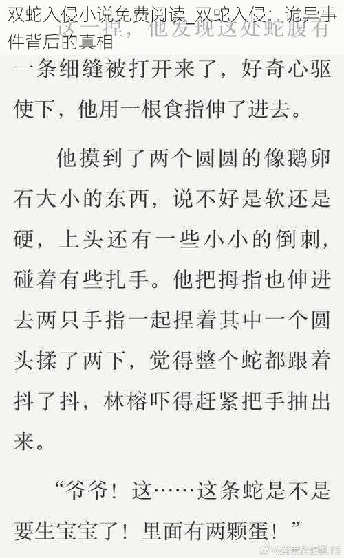 双蛇入侵小说免费阅读_双蛇入侵：诡异事件背后的真相