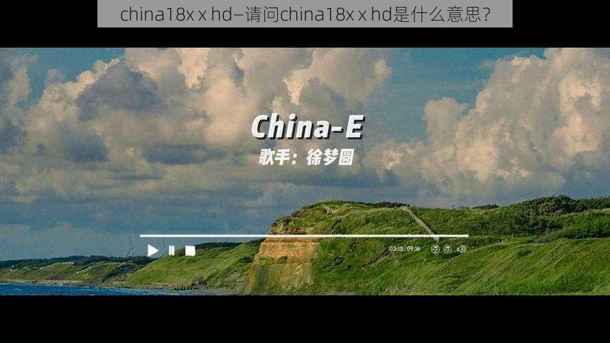 china18x x hd—请问china18x x hd是什么意思？