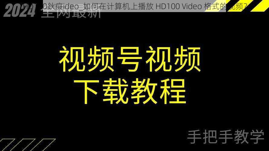 HD100鈥癡ideo_如何在计算机上播放 HD100 Video 格式的视频？