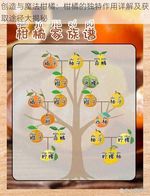 创造与魔法柑橘：柑橘的独特作用详解及获取途径大揭秘