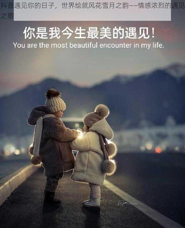 抖音遇见你的日子，世界绘就风花雪月之韵——情感浓烈的遇见之歌