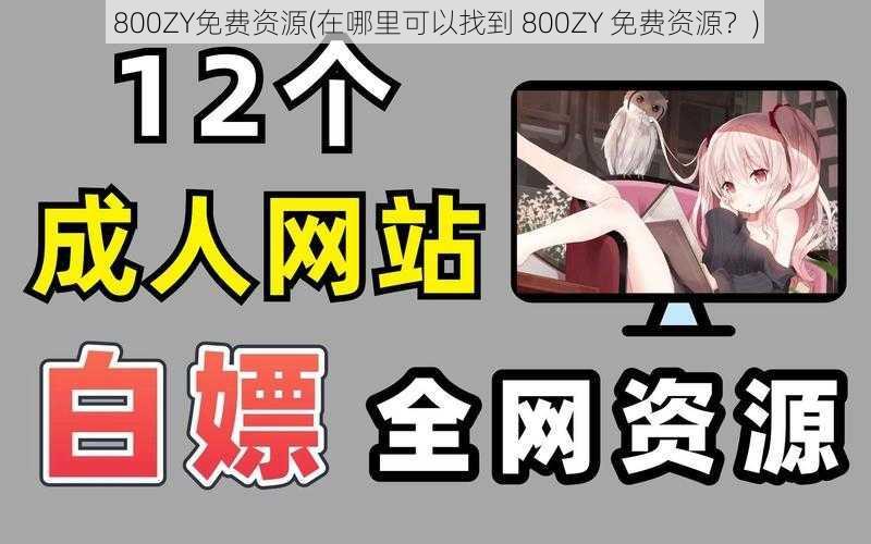 800ZY免费资源(在哪里可以找到 800ZY 免费资源？)