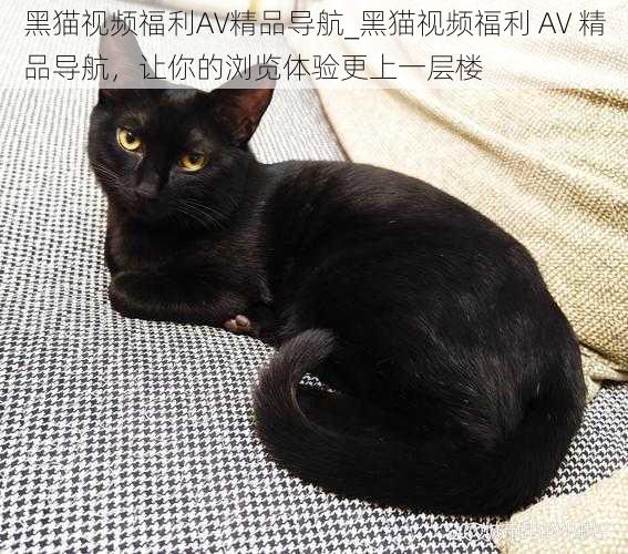 黑猫视频福利AV精品导航_黑猫视频福利 AV 精品导航，让你的浏览体验更上一层楼