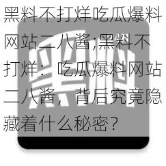 黑料不打烊吃瓜爆料网站二八酱;黑料不打烊：吃瓜爆料网站二八酱，背后究竟隐藏着什么秘密？