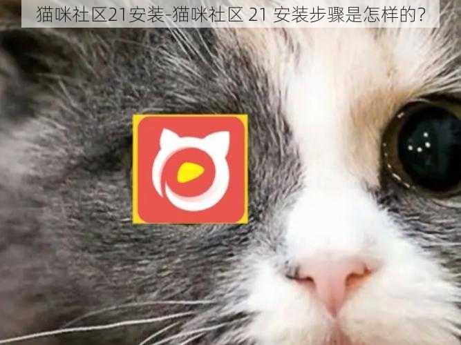 猫咪社区21安装-猫咪社区 21 安装步骤是怎样的？