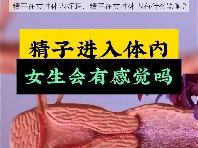 精子在女性体内好吗、精子在女性体内有什么影响？