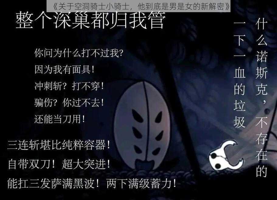 《关于空洞骑士小骑士，他到底是男是女的新解密》