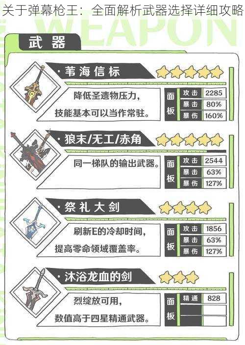 关于弹幕枪王：全面解析武器选择详细攻略