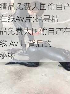 精品免费大国偷自产在线Av片;探寻精品免费大国偷自产在线 Av 片背后的秘密