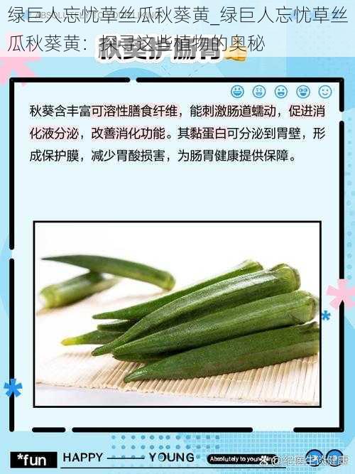 绿巨人忘忧草丝瓜秋葵黄_绿巨人忘忧草丝瓜秋葵黄：探寻这些植物的奥秘