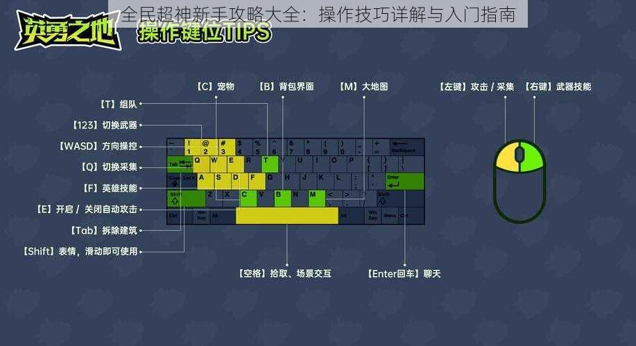 全民超神新手攻略大全：操作技巧详解与入门指南