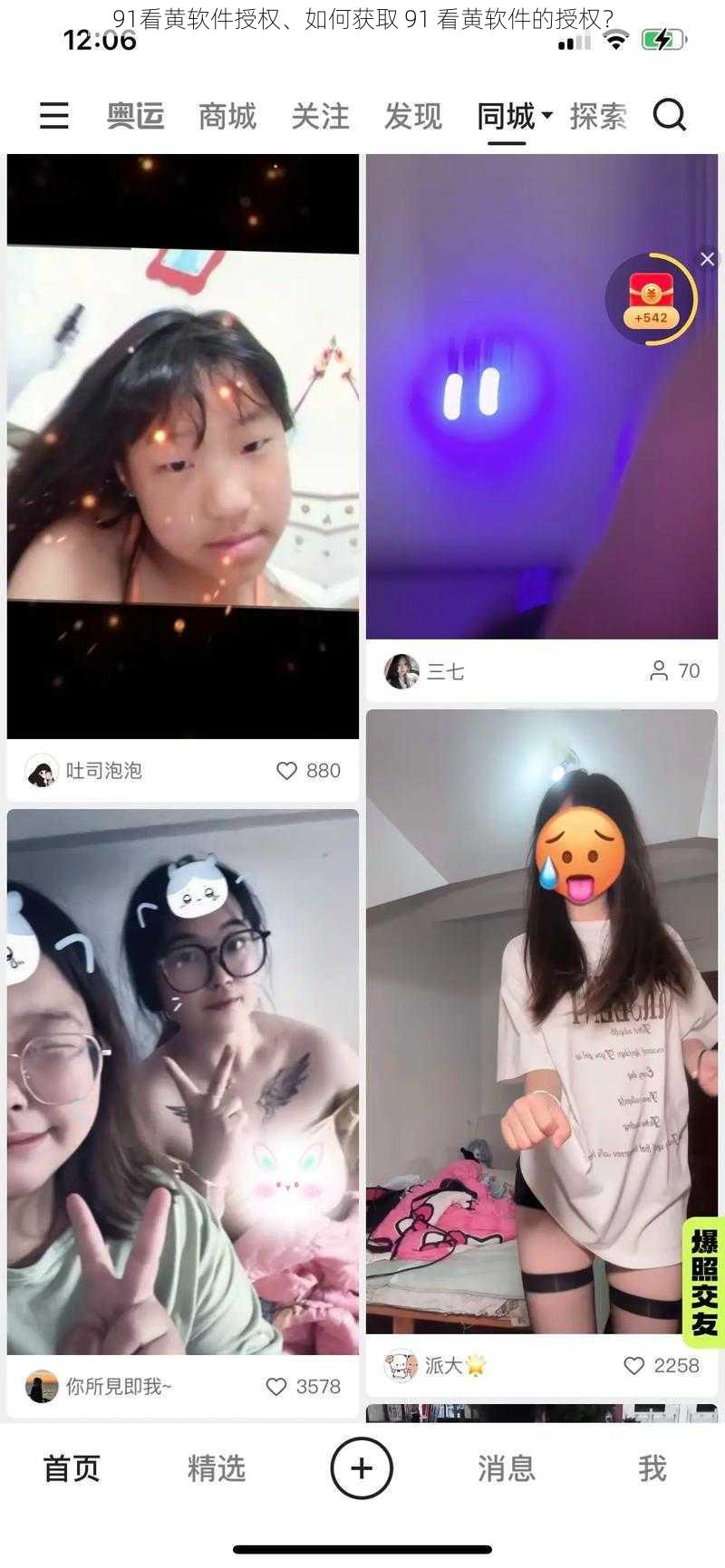 91看黄软件授权、如何获取 91 看黄软件的授权？