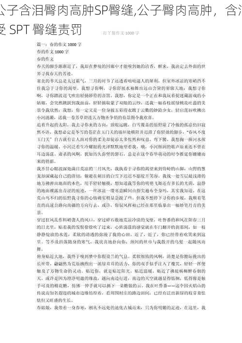 公子含泪臀肉高肿SP臀缝,公子臀肉高肿，含泪受 SPT 臀缝责罚