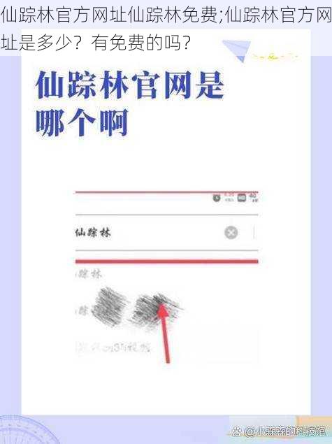 仙踪林官方网址仙踪林免费;仙踪林官方网址是多少？有免费的吗？