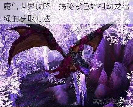 魔兽世界攻略：揭秘紫色始祖幼龙缰绳的获取方法