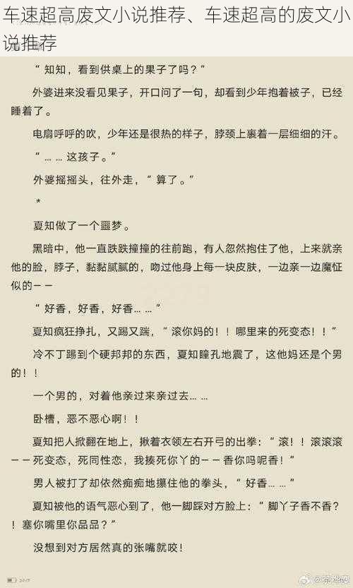 车速超高废文小说推荐、车速超高的废文小说推荐