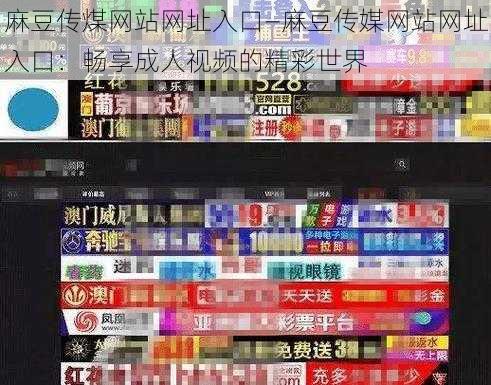 麻豆传煤网站网址入口—麻豆传媒网站网址入口：畅享成人视频的精彩世界