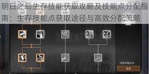 明日之后生存技能获取攻略及技能点分配指南：生存技能点获取途径与高效分配策略