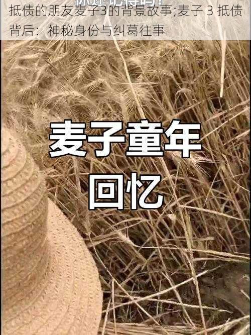 抵债的朋友麦子3的背景故事;麦子 3 抵债背后：神秘身份与纠葛往事