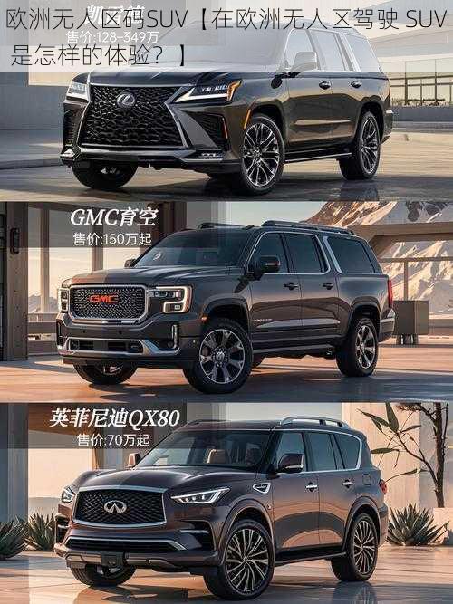 欧洲无人区码SUV【在欧洲无人区驾驶 SUV 是怎样的体验？】