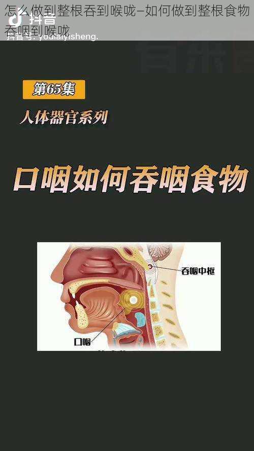 怎么做到整根吞到喉咙—如何做到整根食物吞咽到喉咙